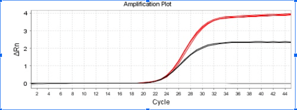 Control Amplificación 2